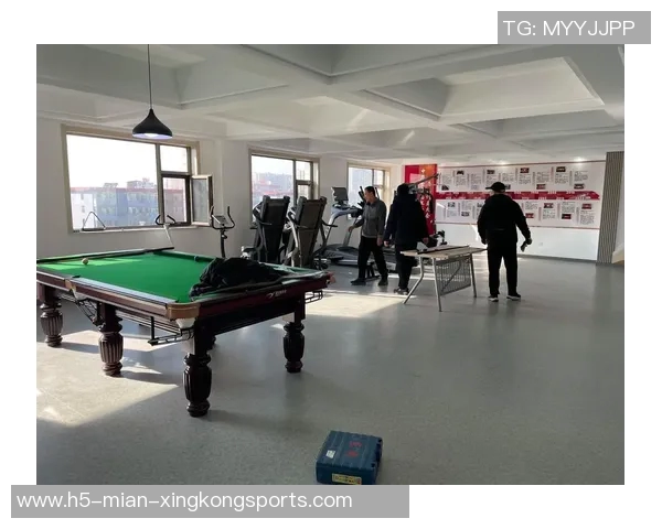 探索室外健身器材的多样性与功能提升健康生活的最佳选择